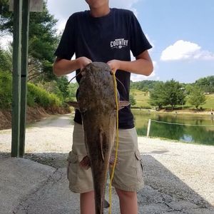 Meet your Posher, Tristan